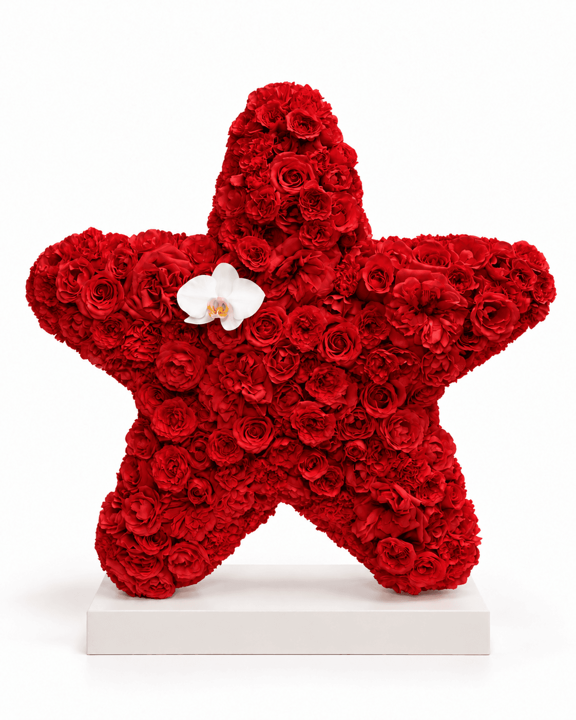 Star Sculpture arrangement by Divina Arrangements