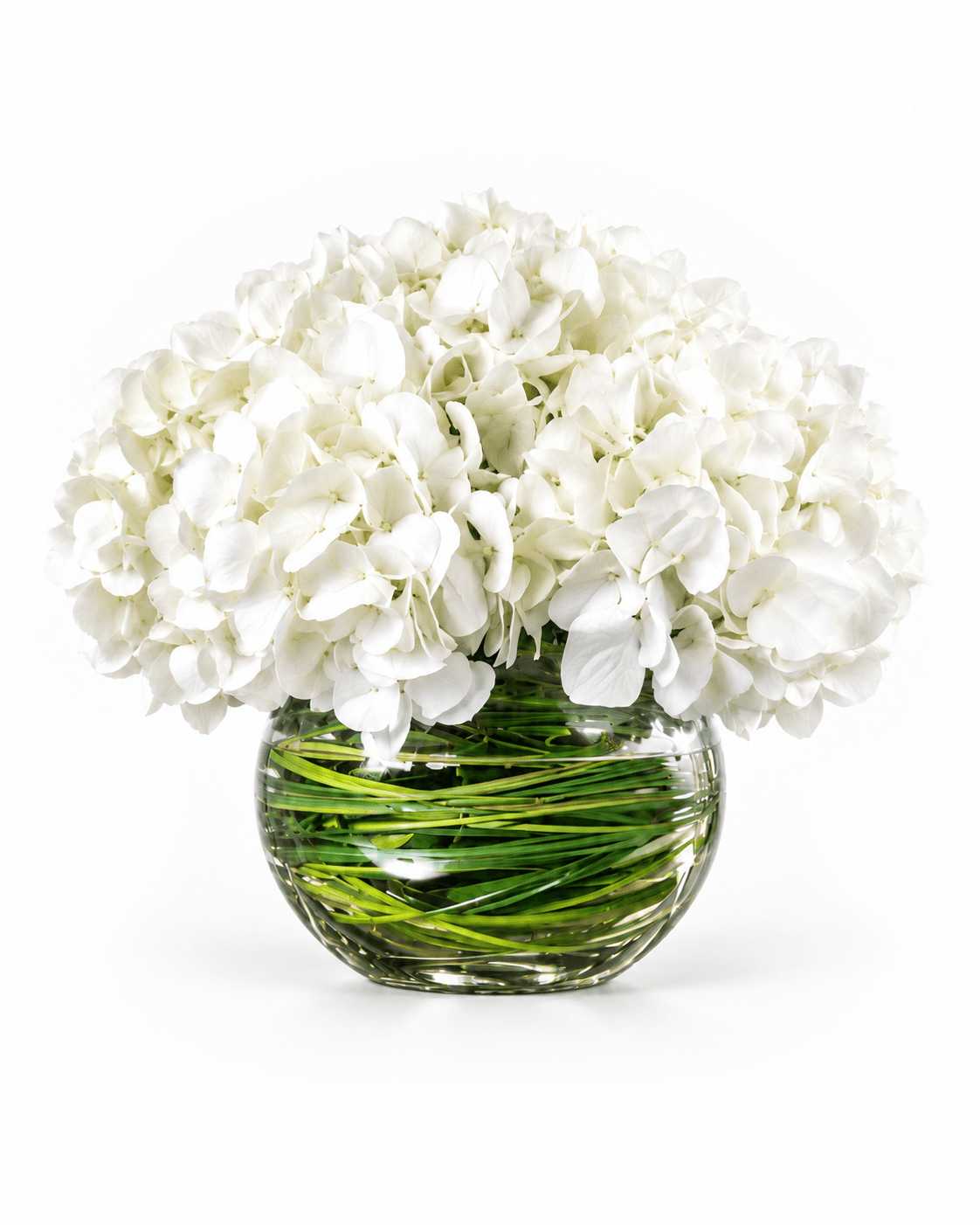 Hydrangea Cloud arrangement by Divina Arrangements