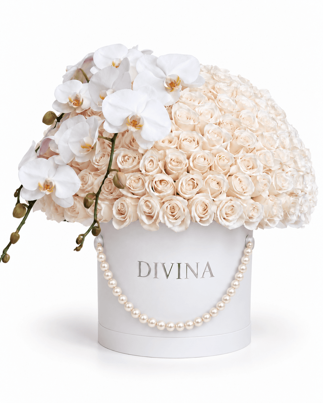Ivory Orchid Dome arrangement by Divina Arrangements